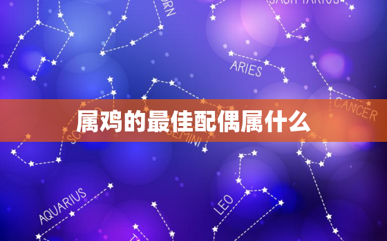 属鸡的最佳配偶属什么，属鸡的最佳配偶属什么生肖