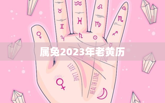 属兔2023年老黄历，属兔人2023