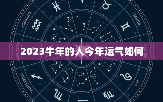 2023牛年的人今年运气如何，2023年牛人运势运程