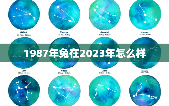 1987年兔在2023年怎么样，1987年兔2023年运势如何