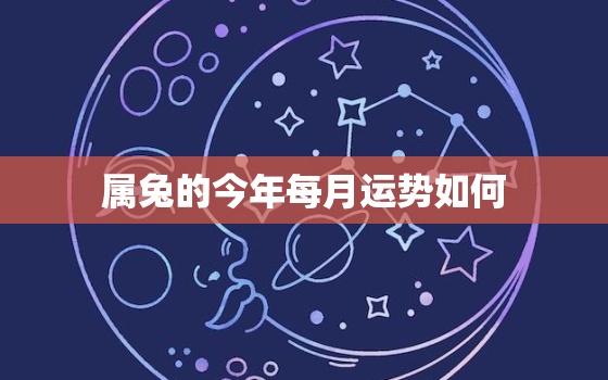 属兔的今年每月运势如何，属兔今年运势2020年每月运势