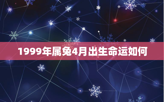 1999年属兔4月出生命运如何，1999年4月的兔命运如何