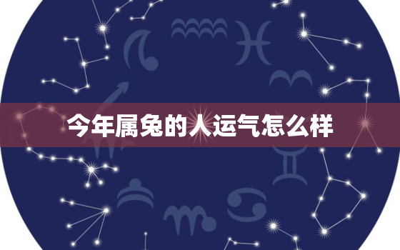 今年属兔的人运气怎么样，87年属兔36岁必有一死