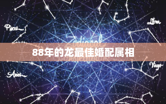 88年的龙最佳婚配属相，88年属龙的婚配最佳婚配