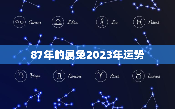 87年的属兔2023年运势，87年属兔2023年每月运势及运程