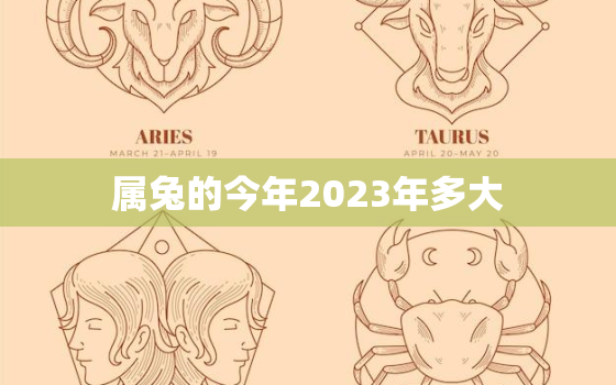 属兔的今年2023年多大，属兔2031年多大