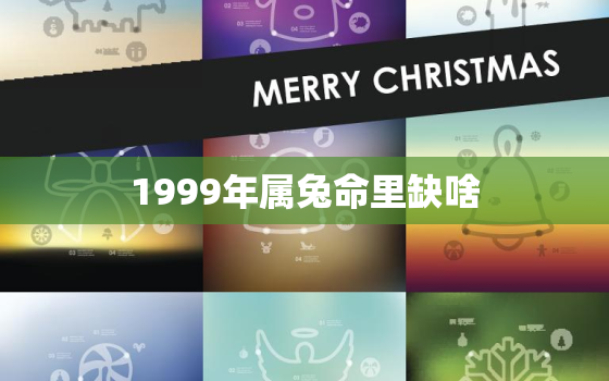 1999年属兔命里缺啥，属兔几点钟出生最享福命