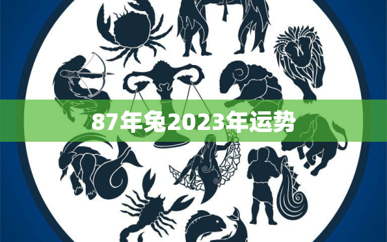 87年兔2023年运势，87兔2023年本命年运势