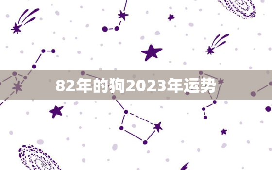 82年的狗2023年运势，82年的狗2023年运势和财运怎么样