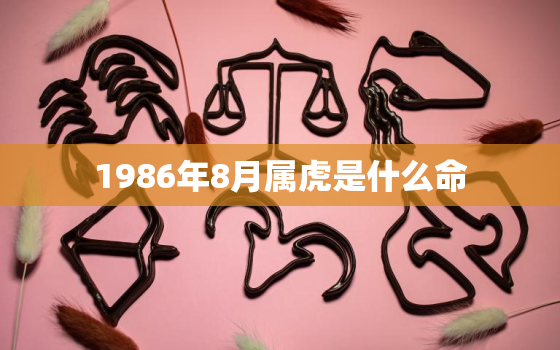 1986年8月属虎是什么命，1986年9月属虎是什么命