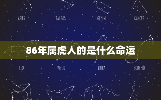 86年属虎人的是什么命运，86年属虎的属相是什么命