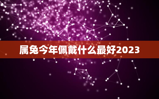 属兔今年佩戴什么最好2023，属兔今年佩戴什么最好2023年运势