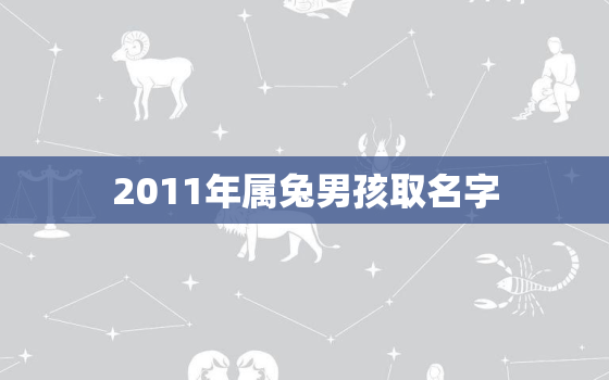 2011年属兔男孩取名字，2011年属兔男孩取名字好吗