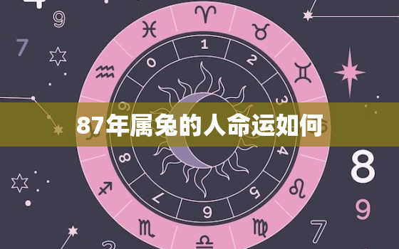 87年属兔的人命运如何，87年属兔的人一生命运如何