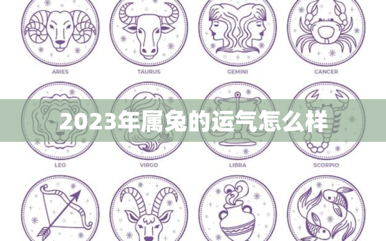 2023年属兔的运气怎么样，2023年属兔人的全年运势详解