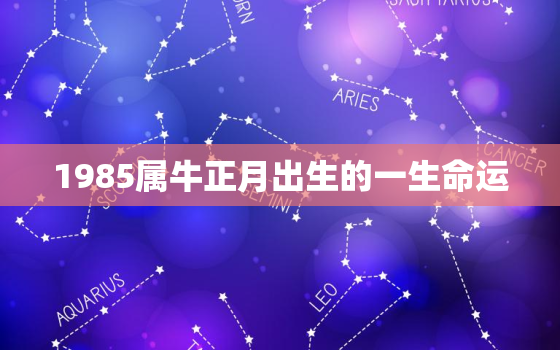 1985属牛正月出生的一生命运，属牛1985正月出生的女人