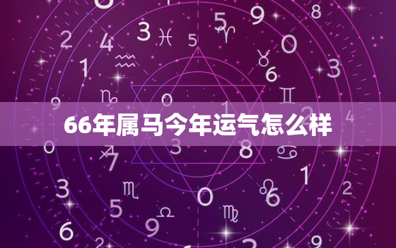 66年属马今年运气怎么样，66年属马今年运气怎么样呢