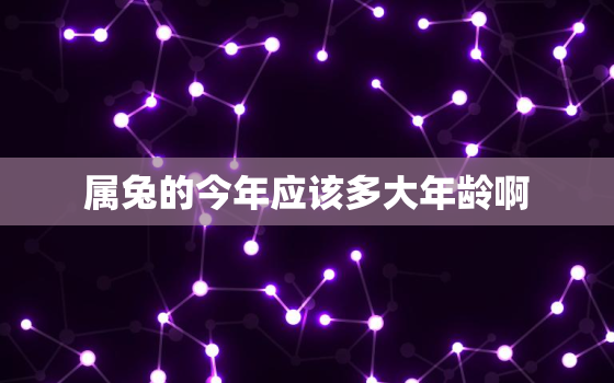 属兔的今年应该多大年龄啊，属兔的人今年多大年龄了2021年