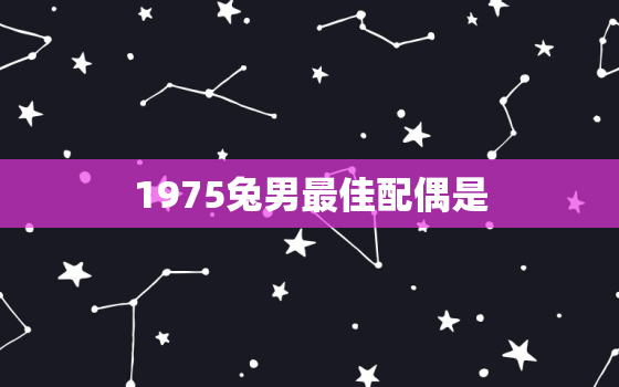 1975兔男最佳配偶是，1975兔男最佳配偶是什么