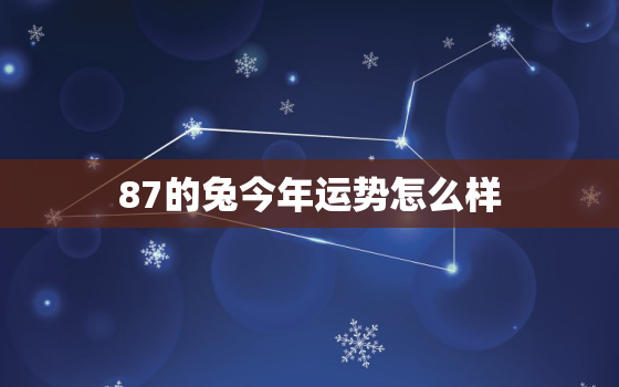 87的兔今年运势怎么样，今年87年的兔运程怎么样