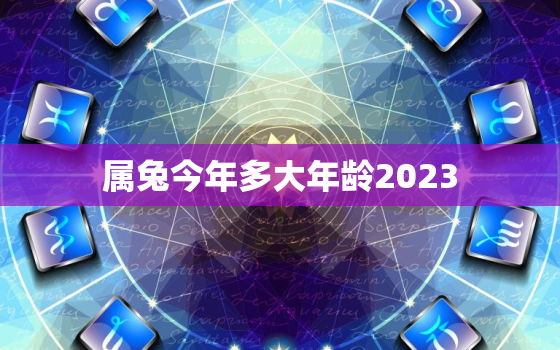 属兔今年多大年龄2023，属兔今年多大年龄虚岁