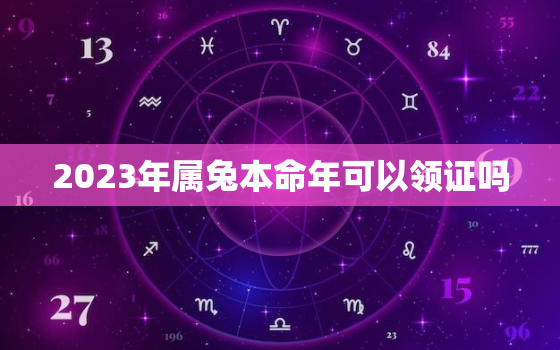 2023年属兔本命年可以领证吗，2023年本命年可以生孩子吗