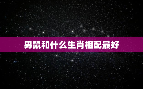 男鼠和什么生肖相配最好，男鼠和什么属相最配