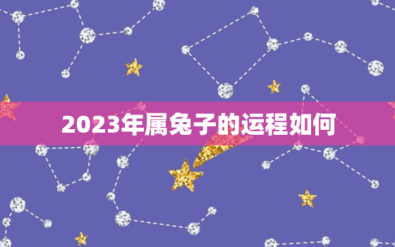 2023年属兔子的运程如何，2023年属兔子的运程如何样