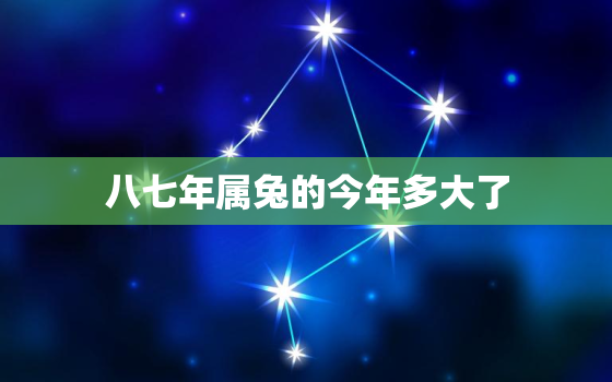 八七年属兔的今年多大了，八七年属兔吗