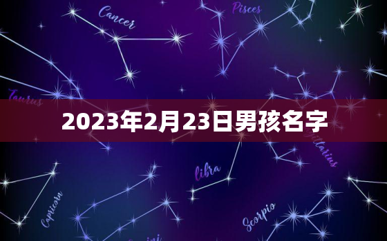 2023年2月23日男孩名字，2023年2月出生