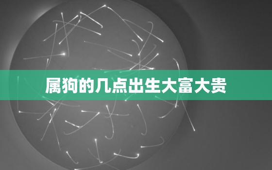 属狗的几点出生大富大贵，属狗出生最好六个吉日