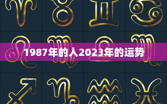 1987年的人2023年的运势，1987年生肖兔2023年运势