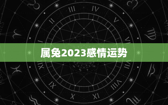 属兔2023感情运势，属兔人2023年运程