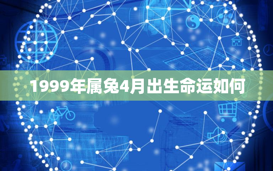 1999年属兔4月出生命运如何，1999年4月出生的兔子