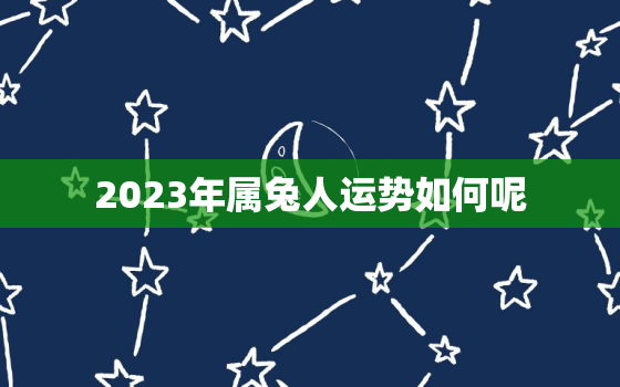 2023年属兔人运势如何呢，2023年属兔运势及运程