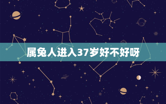 属兔人进入37岁好不好呀，属兔人进入33岁好不好