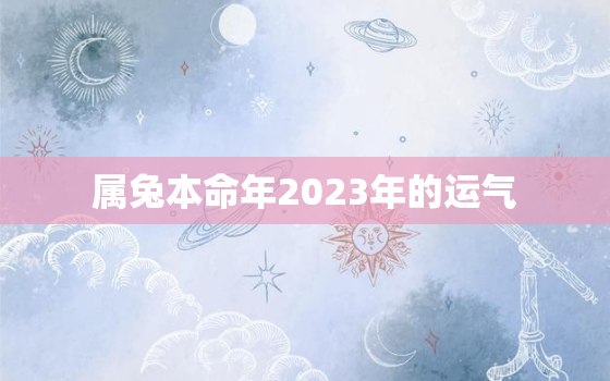 属兔本命年2023年的运气，2023年兔年本命年运势