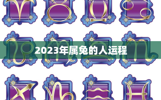 2023年属兔的人运程，2023年属兔的人运程和财运