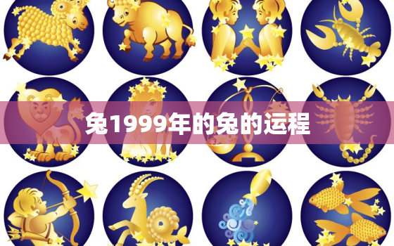 兔1999年的兔的运程，1999年属兔的运势如何