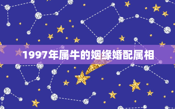 1997年属牛的姻缘婚配属相，1997年属牛的姻缘婚配属相是什么