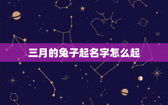 三月的兔子起名字怎么起，三月出生兔子