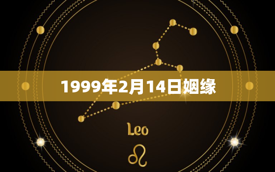 1999年2月14日姻缘，1999年2月14日八字