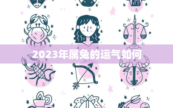 2023年属兔的运气如何，2023年属兔人运势