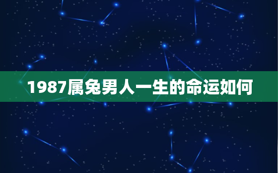 1987属兔男人一生的命运如何，1987属兔男人一生的命运如何呢