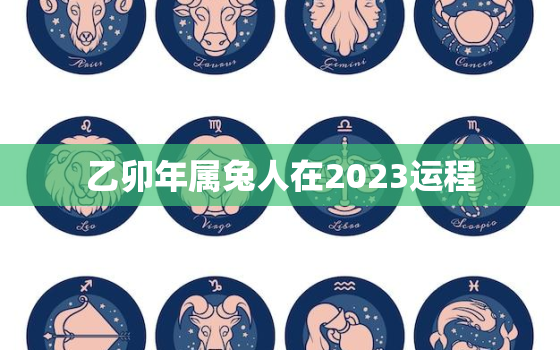 乙卯年属兔人在2023运程，乙卯年生人2021年每月运势