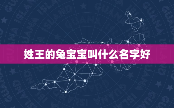 姓王的兔宝宝叫什么名字好，王姓兔宝宝取名大全2021款