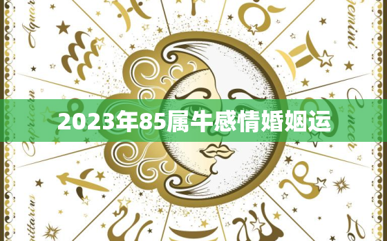 2023年85属牛感情婚姻运，85牛2023年生肖牛运势详解