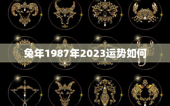 兔年1987年2023运势如何，1987年兔2023年运势