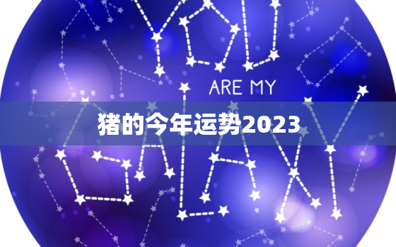 猪的今年运势2023，属猪今年运势2023年运势