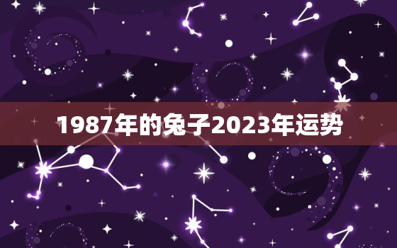 1987年的兔子2023年运势，1987年属兔2023年运势每月运势